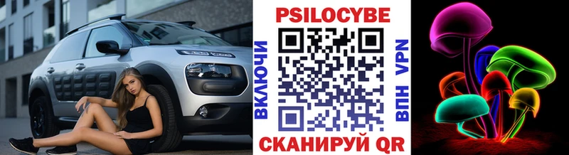 Псилоцибиновые грибы прущие грибы  закладка  Кинель 